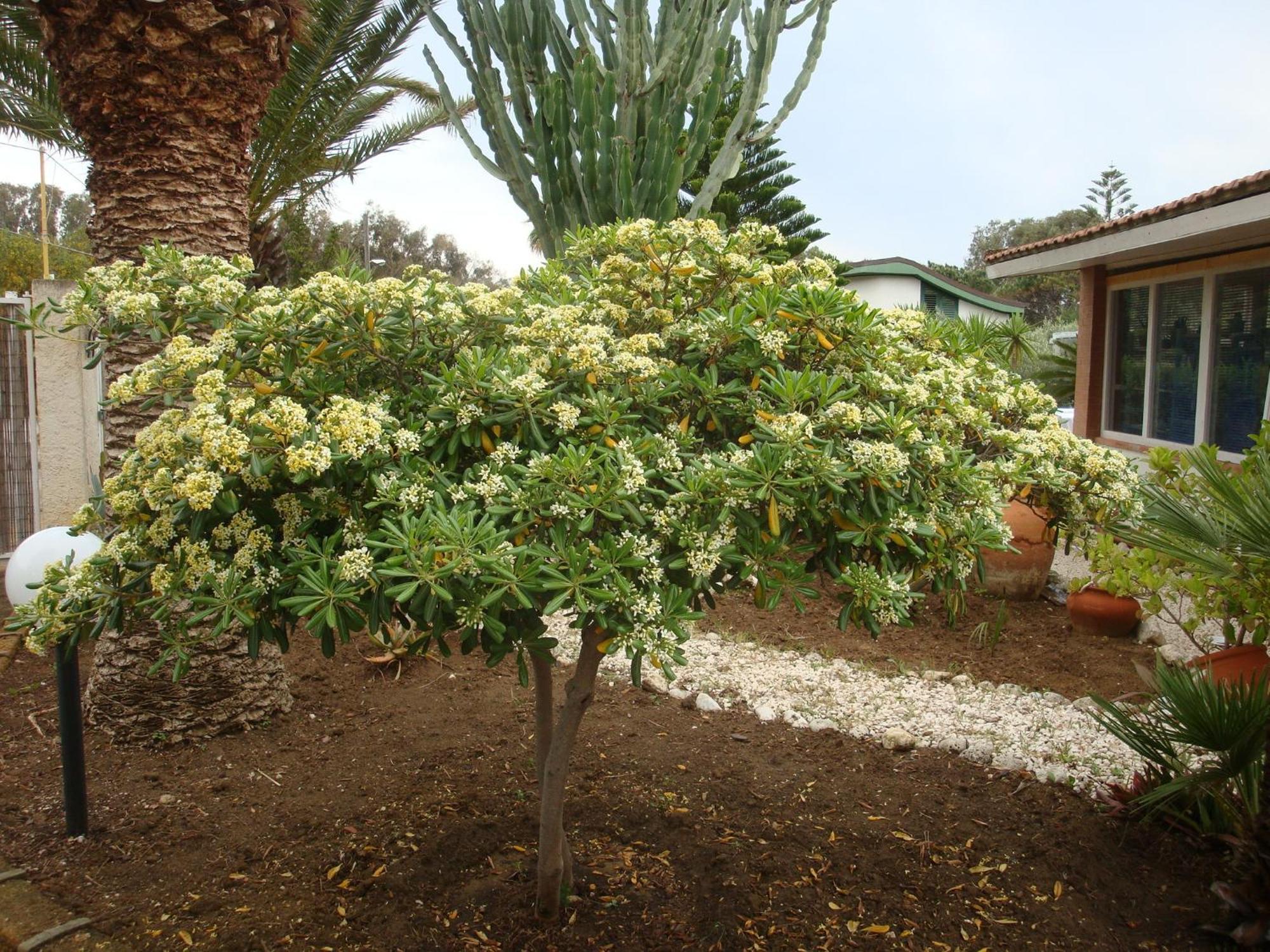 Villa Cetta B&B San Leone Bagian luar foto