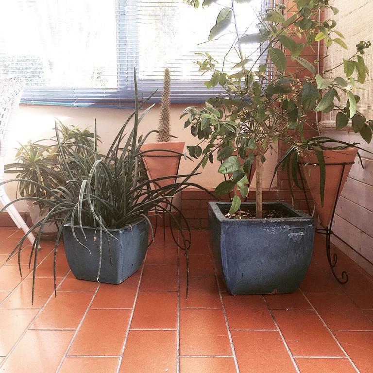 Villa Cetta B&B San Leone Bagian luar foto