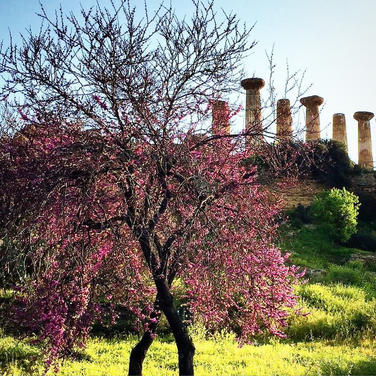 Villa Cetta B&B San Leone Bagian luar foto