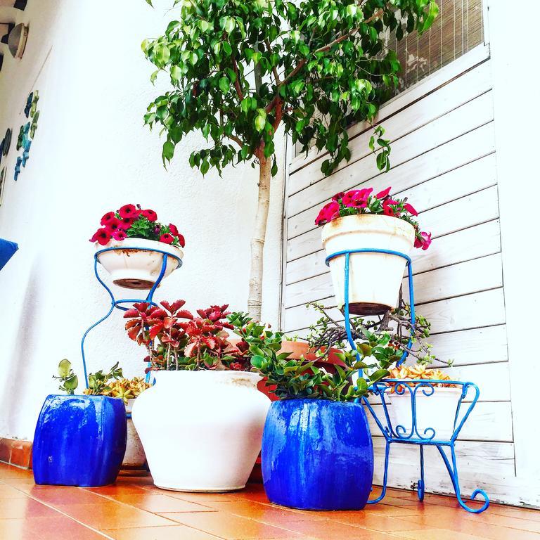 Villa Cetta B&B San Leone Bagian luar foto