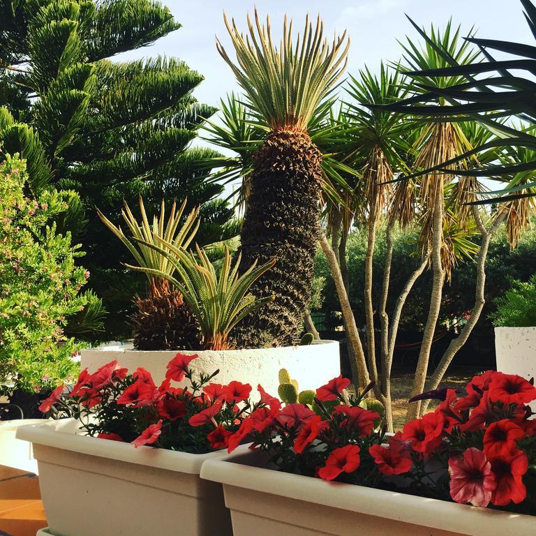 Villa Cetta B&B San Leone Bagian luar foto